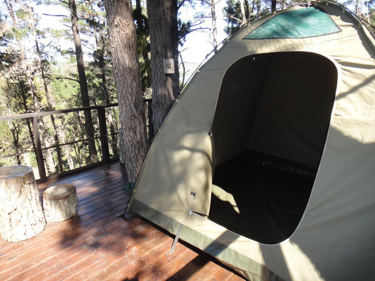 Eagles' Call Cottages And Tent 维德尼斯 外观 照片