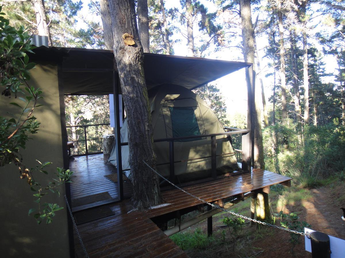Eagles' Call Cottages And Tent 维德尼斯 外观 照片