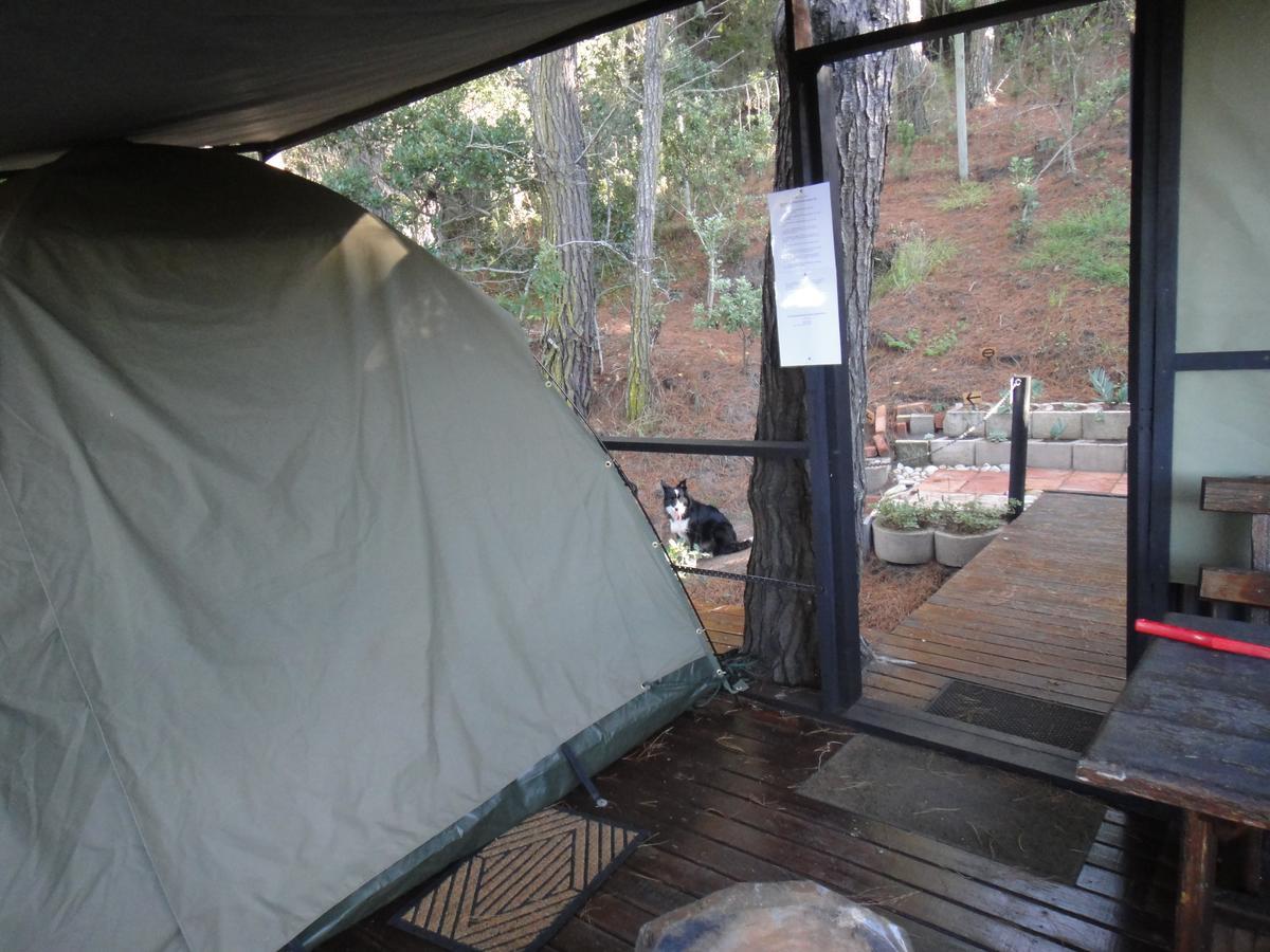 Eagles' Call Cottages And Tent 维德尼斯 外观 照片