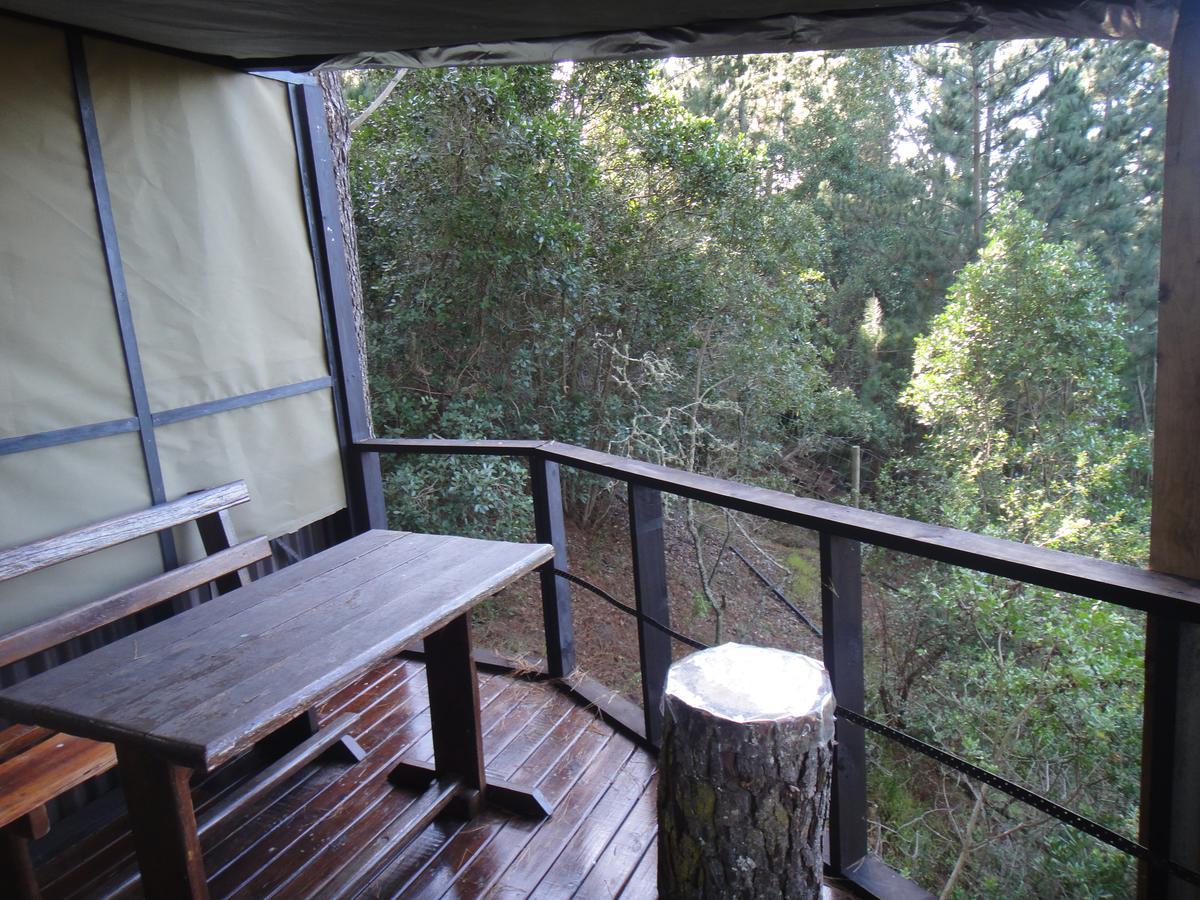 Eagles' Call Cottages And Tent 维德尼斯 外观 照片